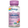 Solaray Turmeric Root Extract, Advanced Formula